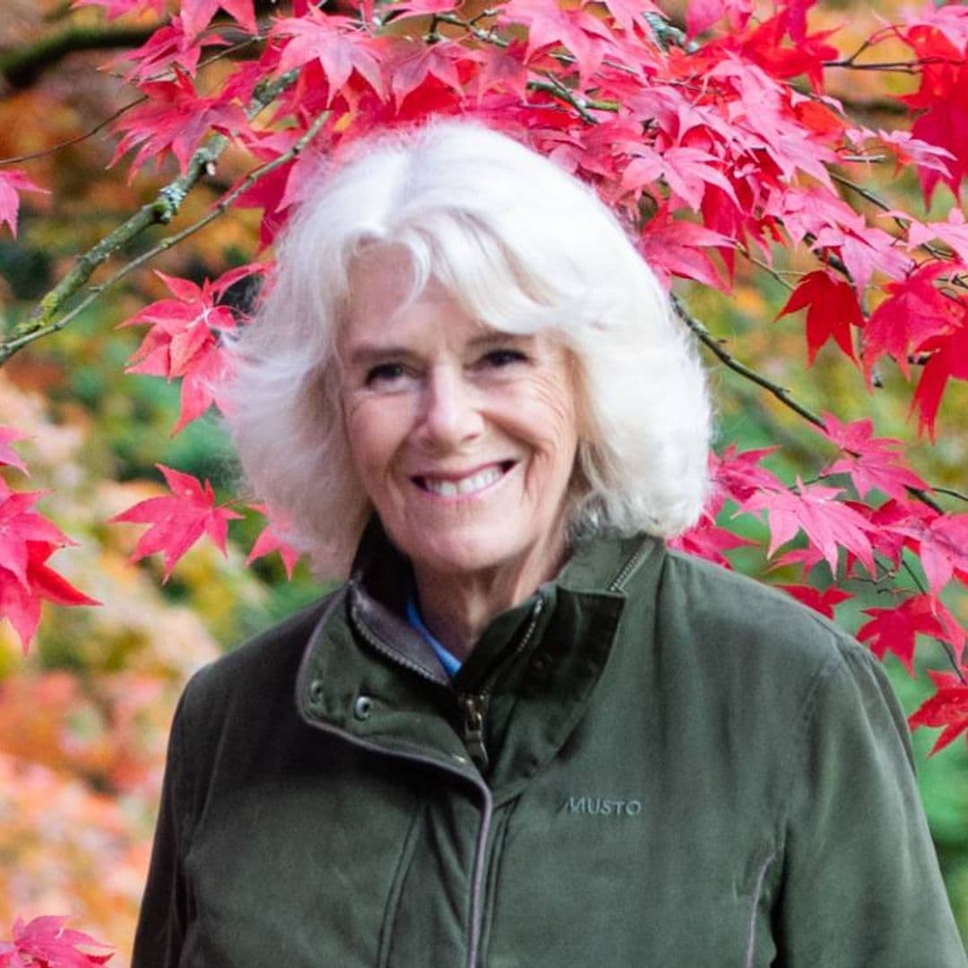 ¡Con mucho ritmo! La sorprendente aparición televisiva de Camilla, la duquesa de Cornualles