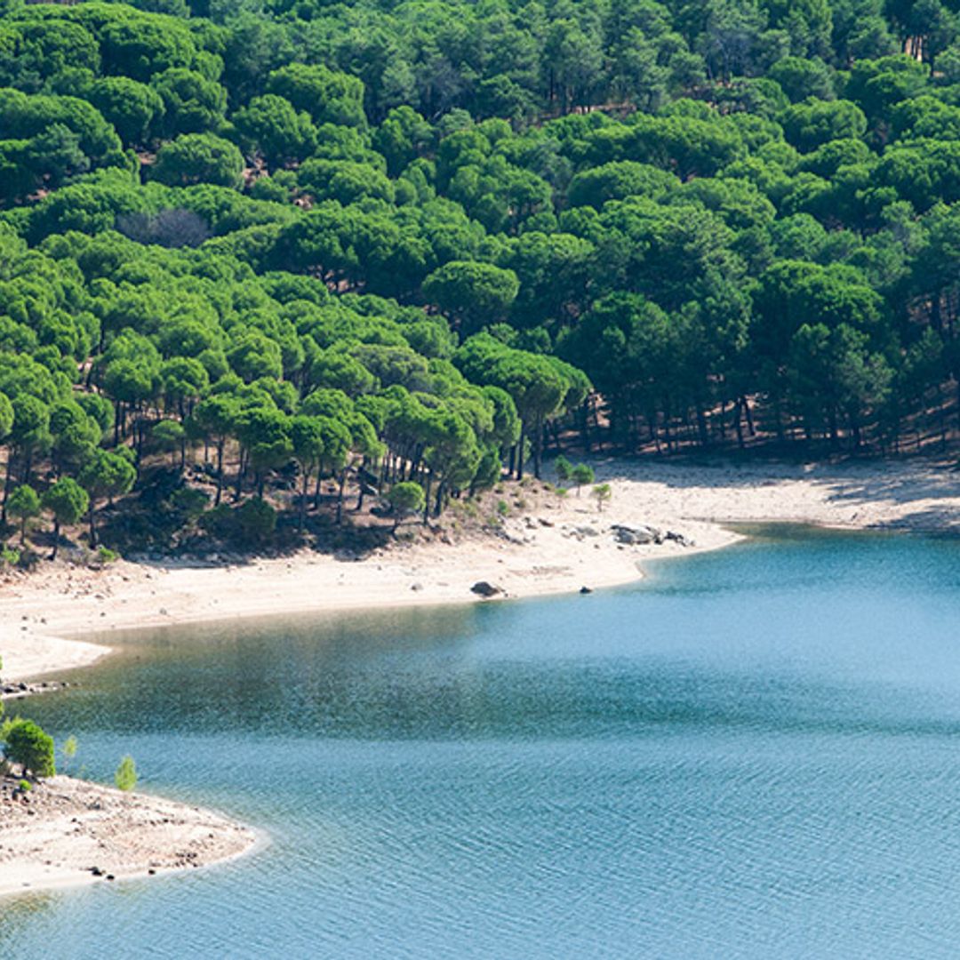 Aquí sí hay playa, vaya, vaya, los mejores baños de interior