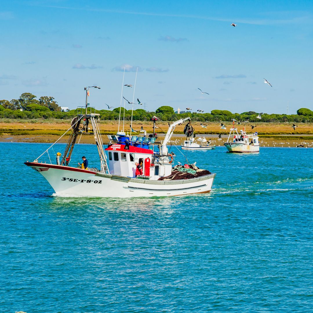 Pesca en el Parque Natural de las Marismas del Odiel en Punta Umbría, Huelva