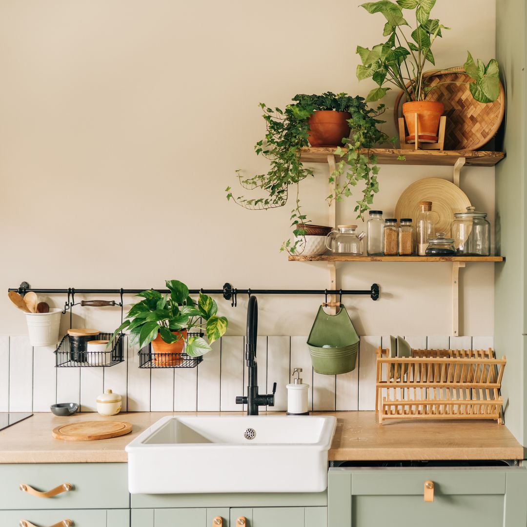 Perejil, romero o albahaca: el regreso de las plantas aromáticas como elemento decorativo en la cocina