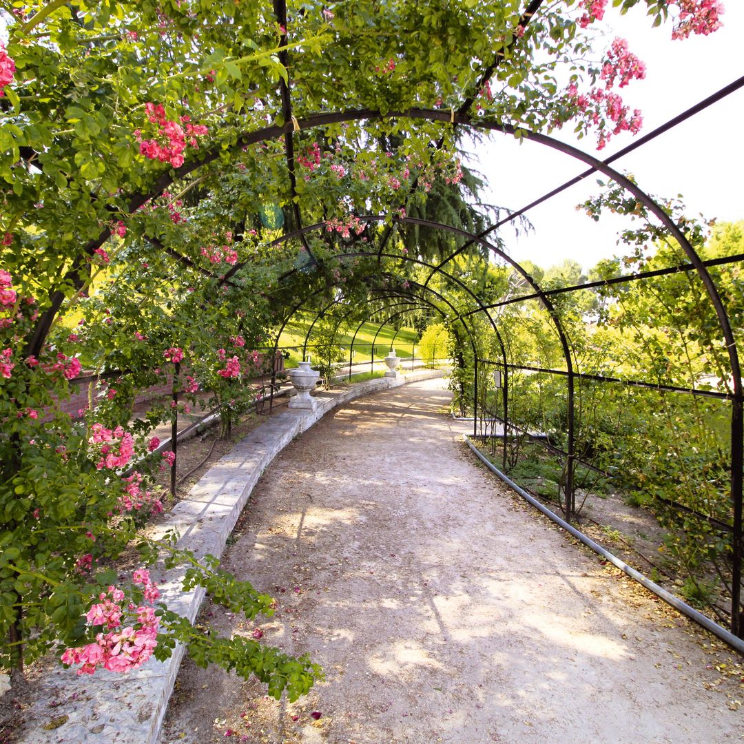 Rosaleda del Parque del Oeste de Madrid