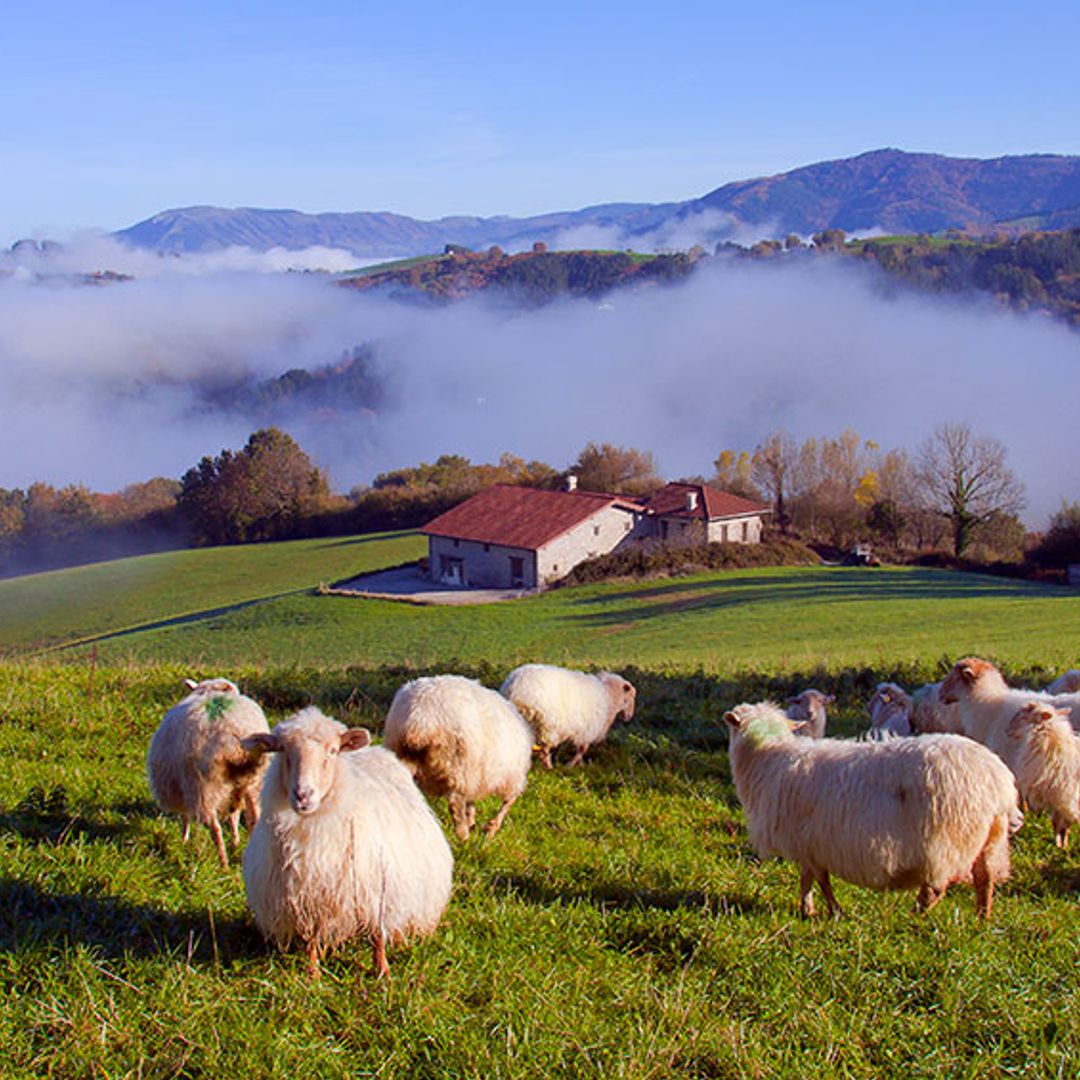 goierri guipuzcoa