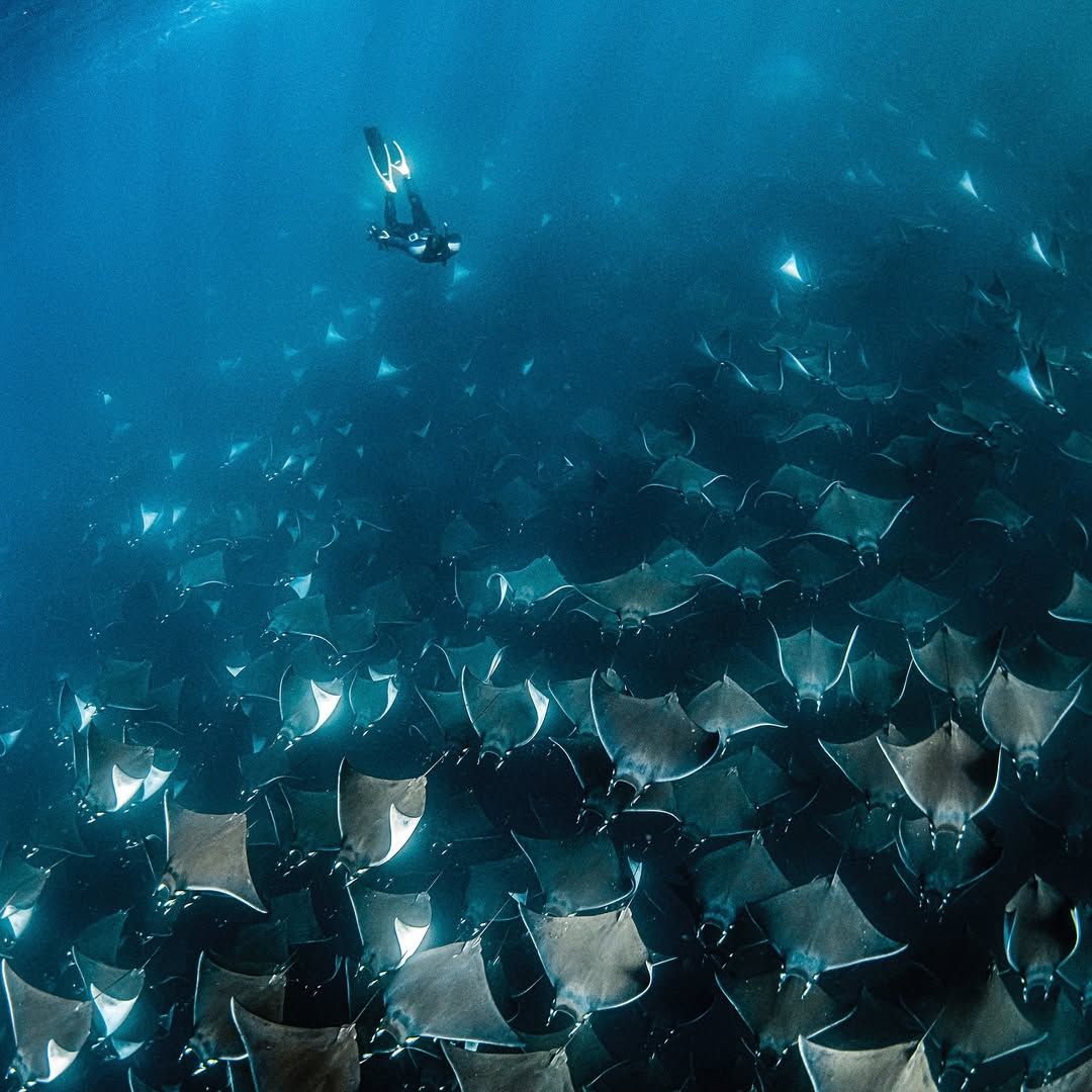 Gotzon Mantuliz en el Mar de Cortés, Baja California Sur,  México