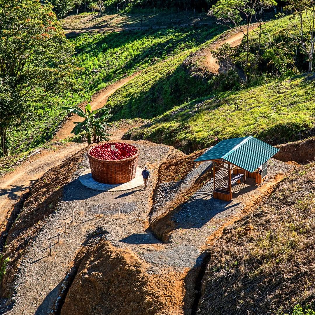 Coffee Tour Adventure en Hacienda Orosi de Costa Rica