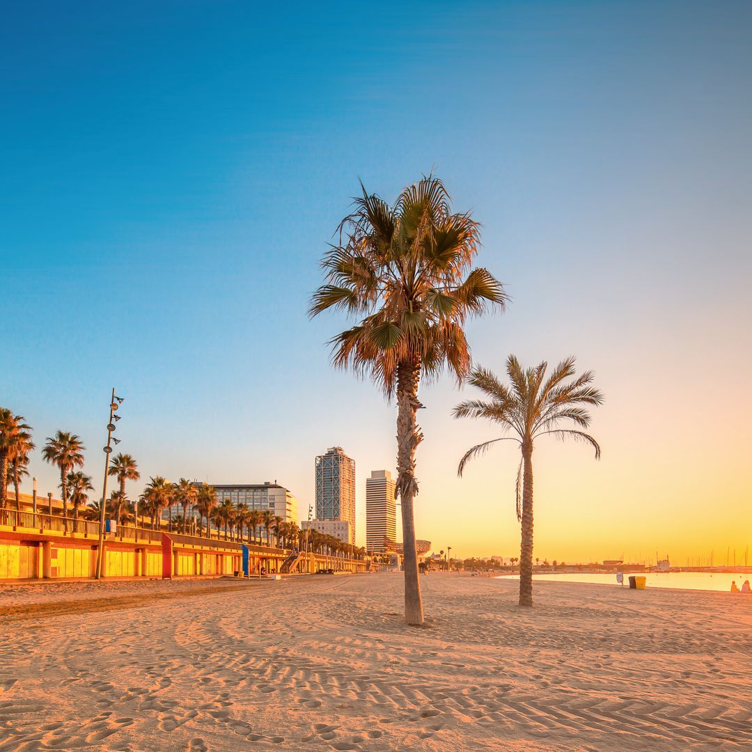 La Barceloneta: claves para descubrir el barrio marinero de Barcelona