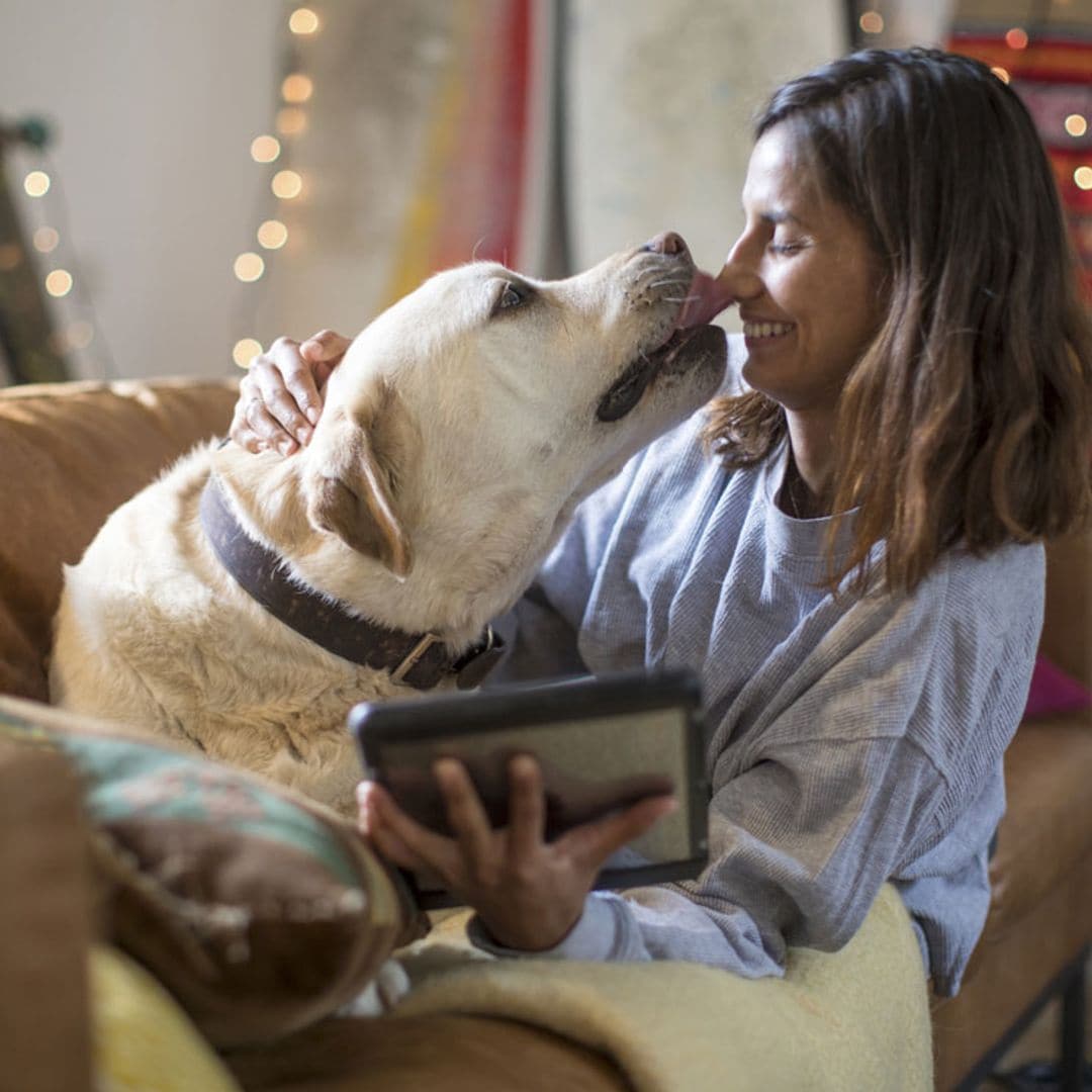 ¿Sabes por qué tu perro te lame tanto? Te contamos las posibles causas