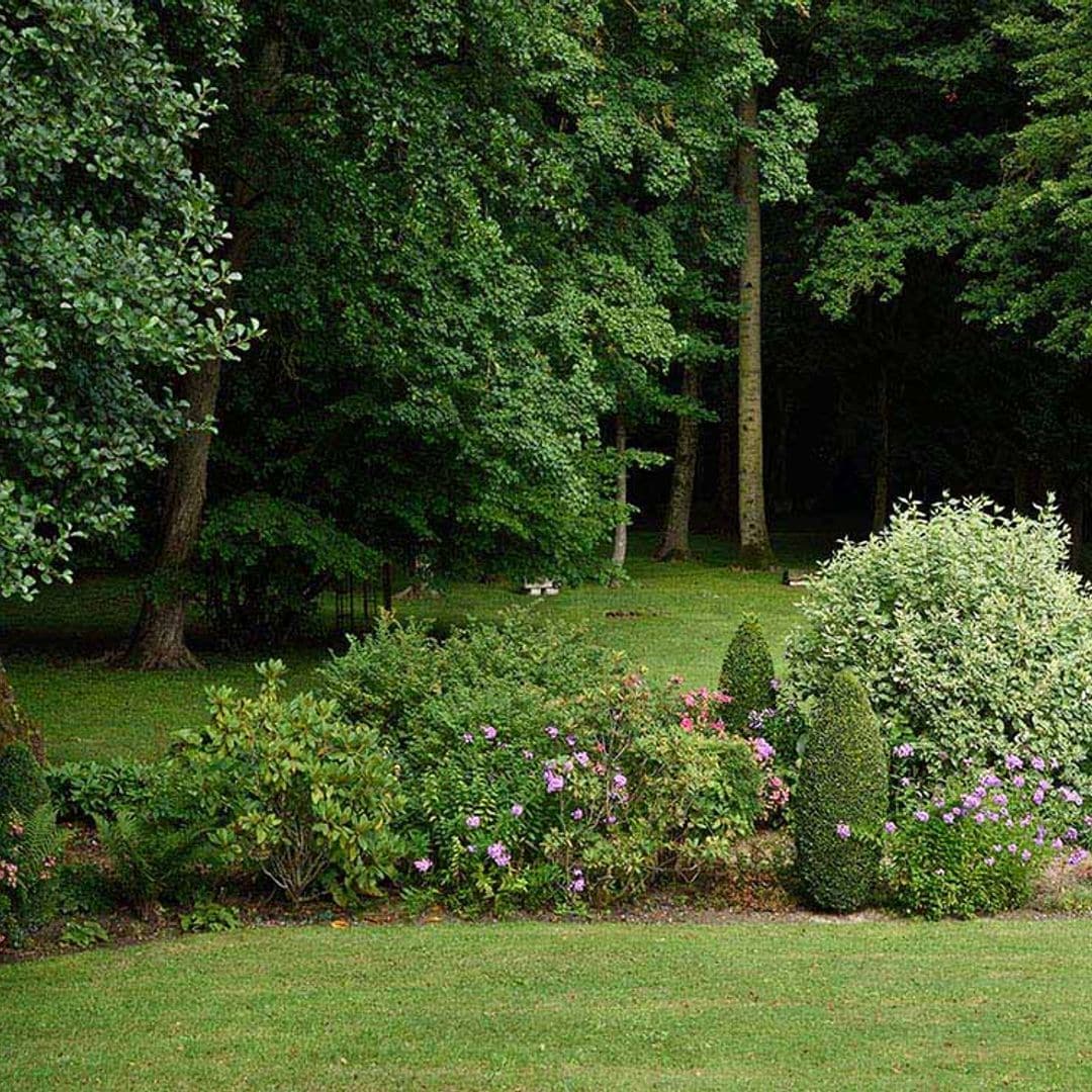 7 plantas capaces de crecer y desarrollarse en jardines de sombra