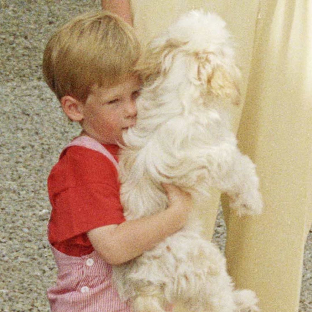 Así de adorable era el príncipe Harry cuando estuvo en España, ¿veremos a su bebé en nuestro país?