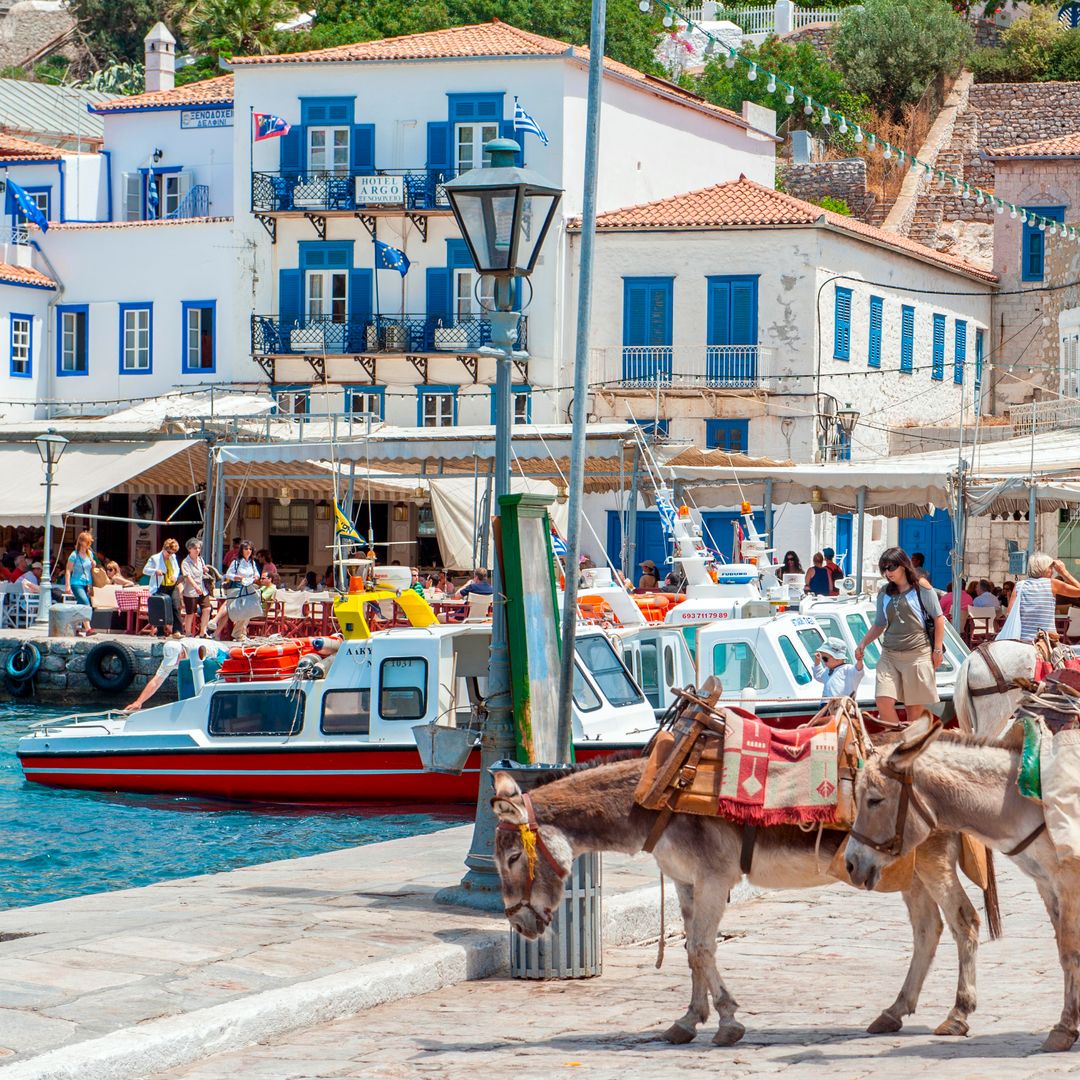 Burros en la isla de Hydra, el principal medio de transporte en una isla donde no circulan los coches, Grecia