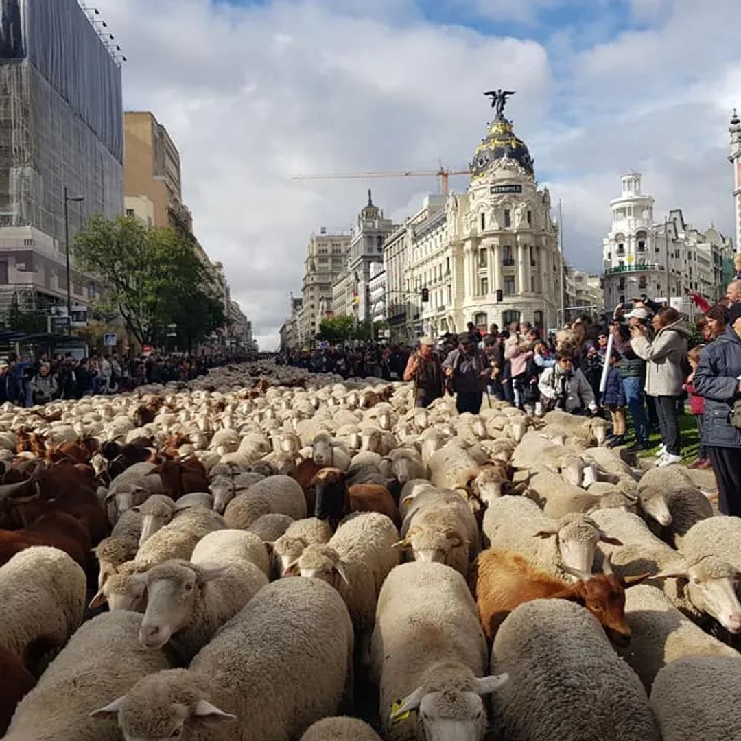 Fiesta de La Trashumancia