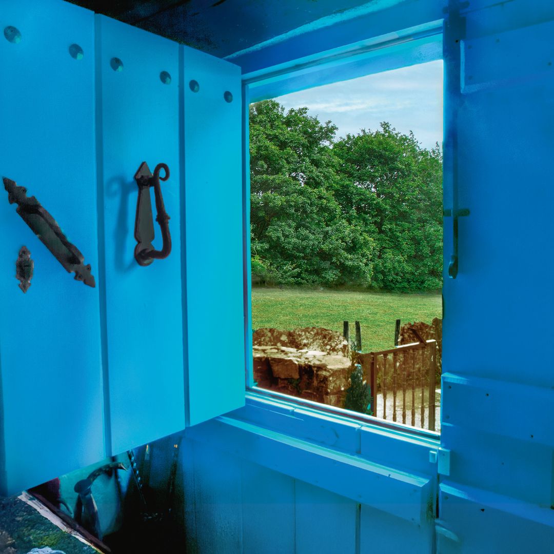Fotografía que dea entrever como los colores vivos abundan en la casa de Paloma San Basilio