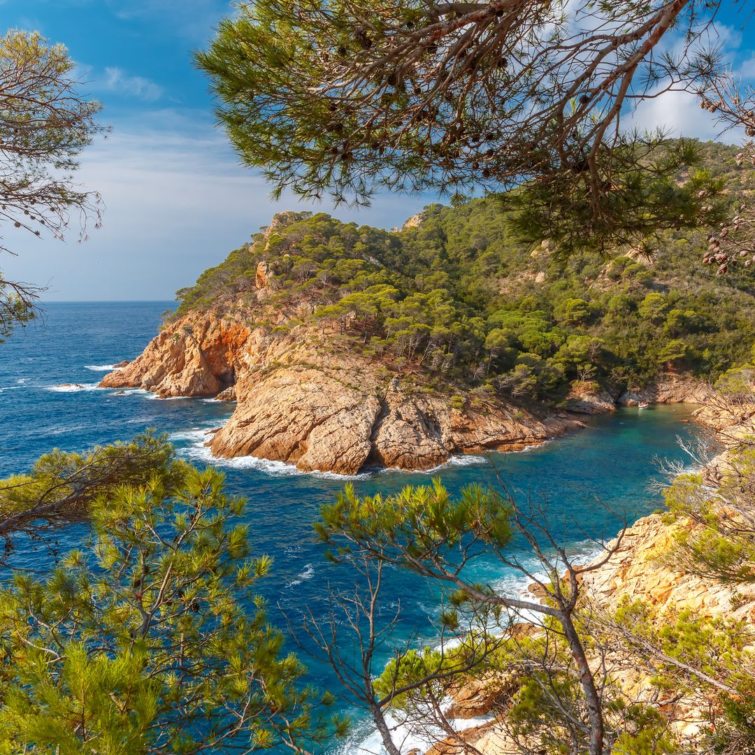 Las 10 calas de la Costa Brava que piden a gritos un chapuzón: dónde aparcar, cuándo ir y cuál elegir
