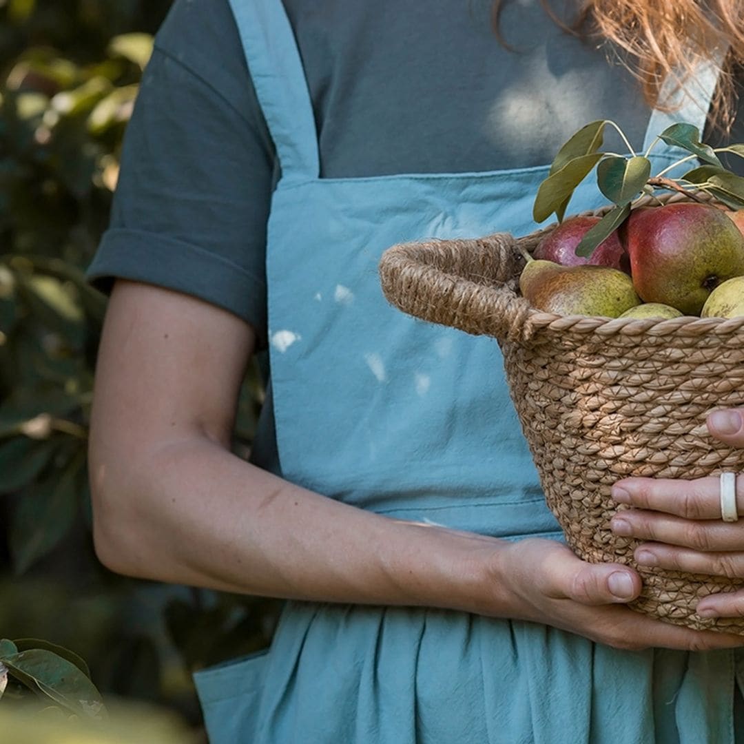 Cómo cuidar los árboles frutales en otoño y mantenerlos sanos