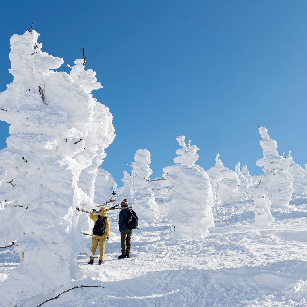 Estación de esquí Zao Onsen en Japón, conocida por sus figuras a las que llaman monstruos