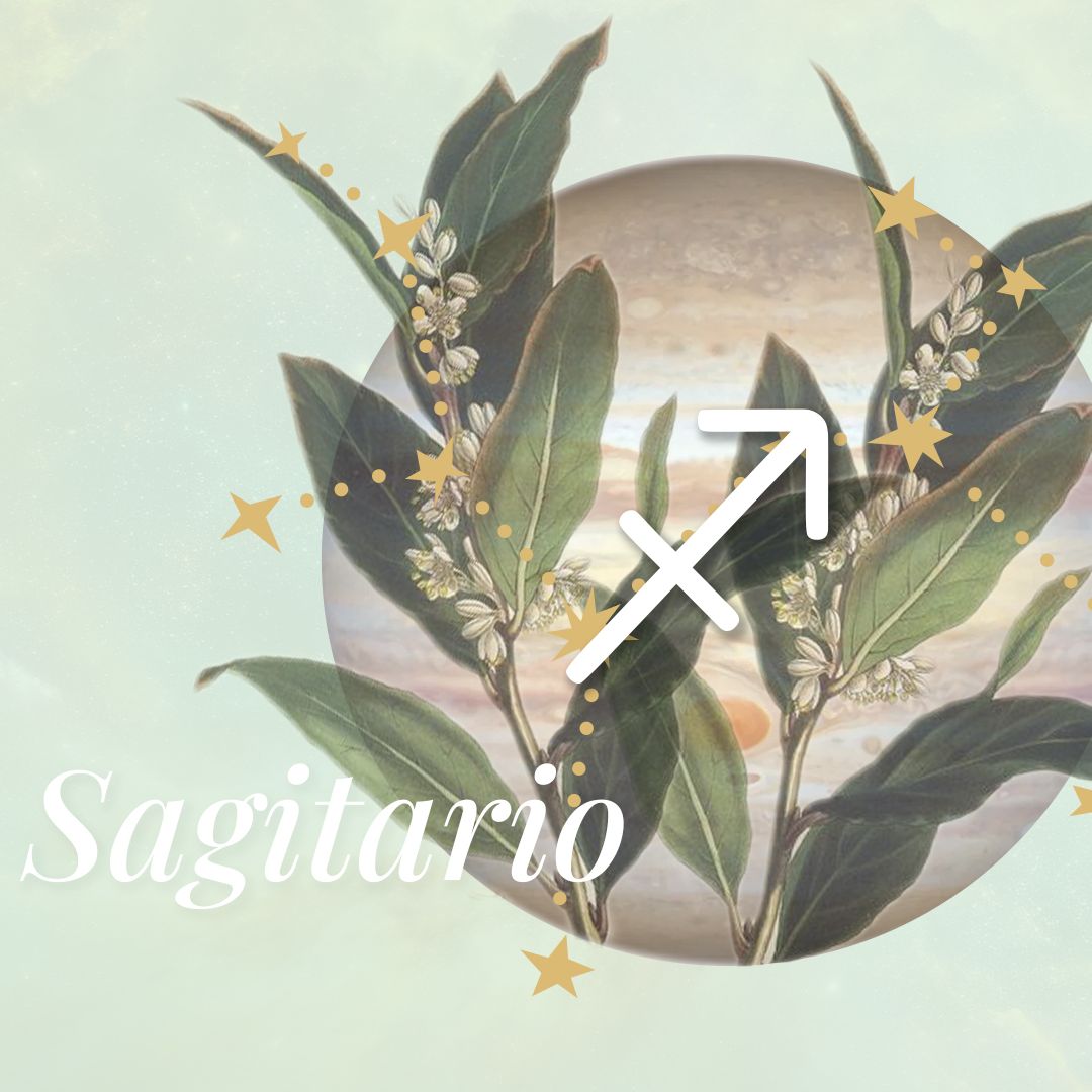 Sagitario hoy: predicción y características del signo
