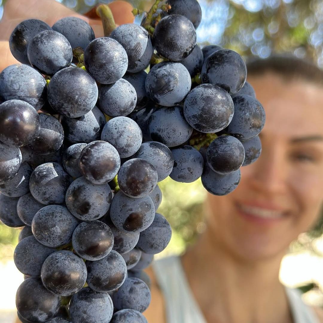 Hotel rural Es Racó, Mallorca