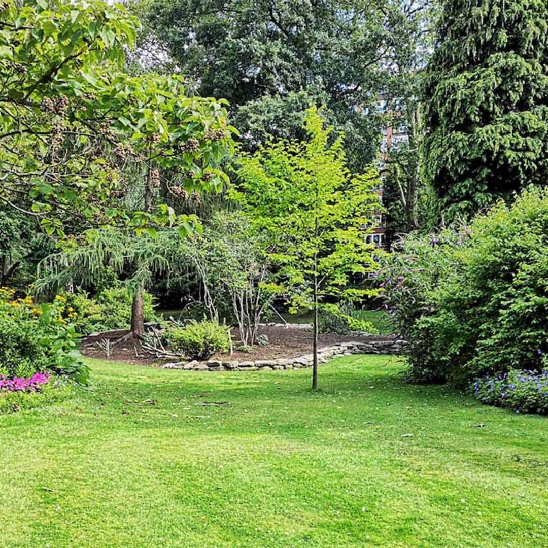 Estas son las tareas de cuidado y limpieza que necesita tu jardín al final del verano