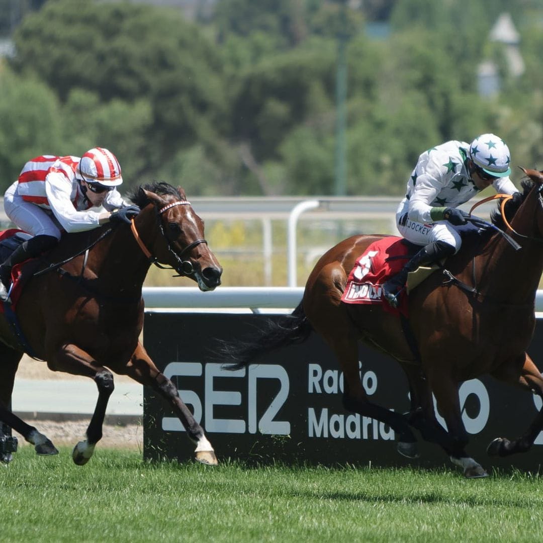 Tacarib Bay y Making Time reinan en una jornada de alto nivel en el Hipódromo de la Zarzuela