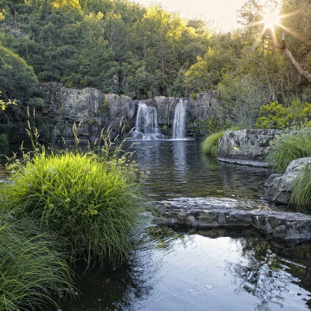 Poza del río Ojos Negros, Sierra Norte de Guadalajara, Cantalojas, Hayedo Tejera Negra