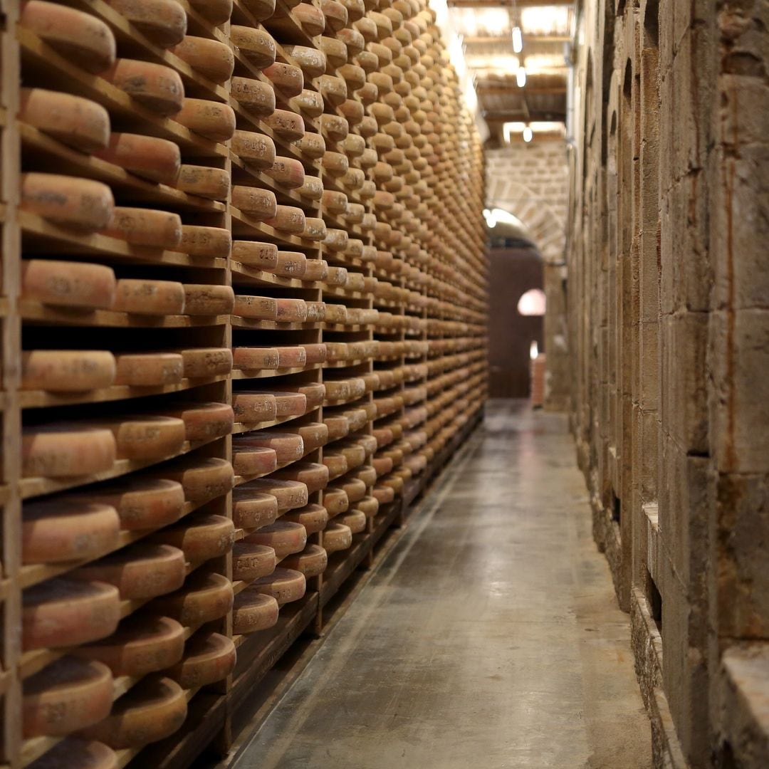 Comté, uno de los quesos más apreciados y consumidos de Francia