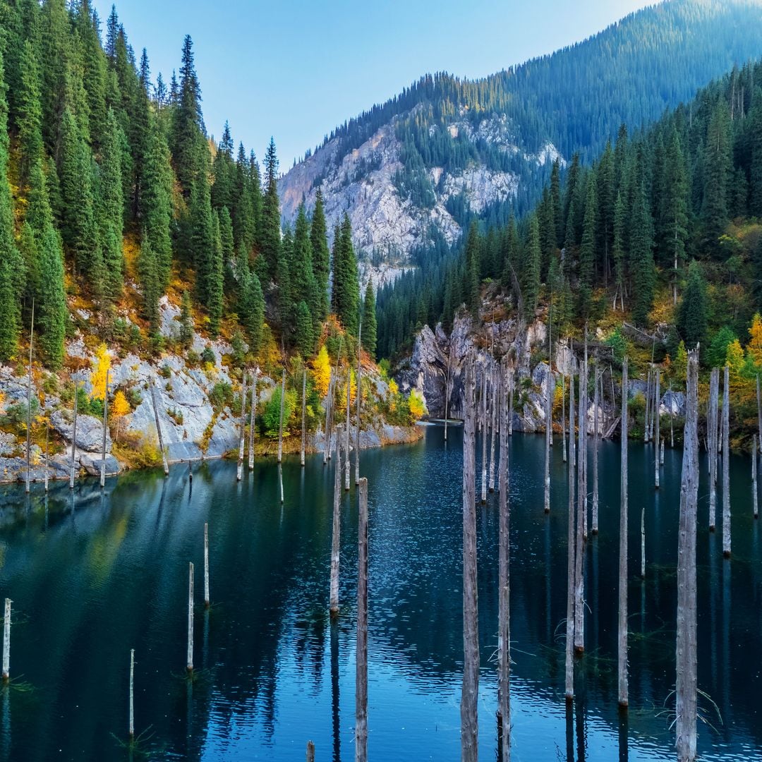 Los árboles fosilizados del lago Kaindy durante la puesta de sol