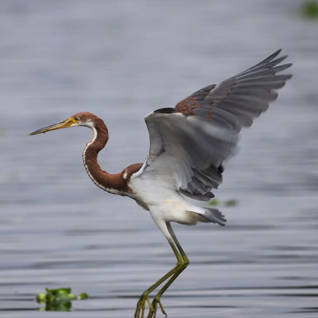 La labor de SíMiPlaneta no se limita a las acciones macro sino también a la educación ambiental del día a día.