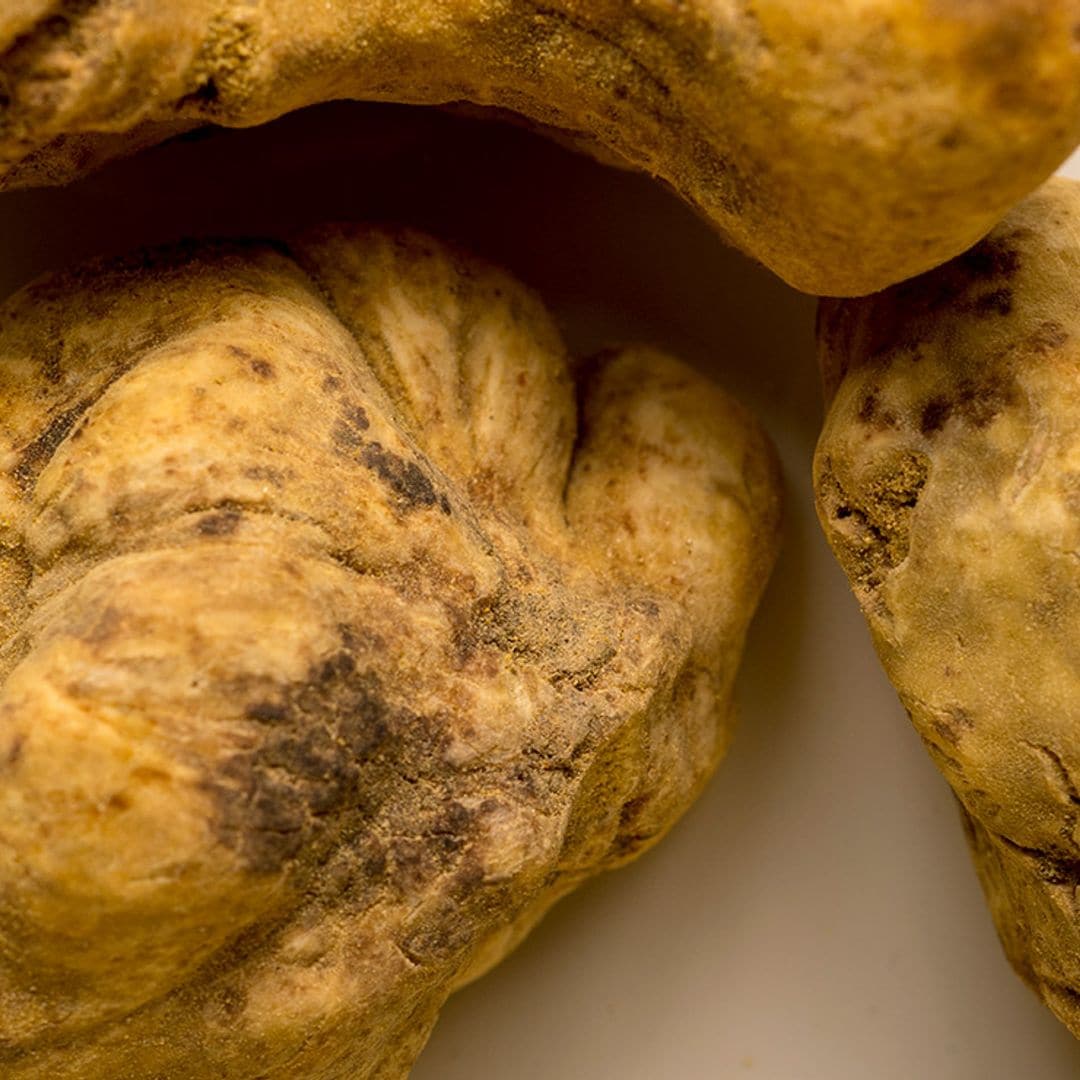 Trufa blanca, una joya gastronómica que puede llegar a costar más de 7.000 euros el kilo