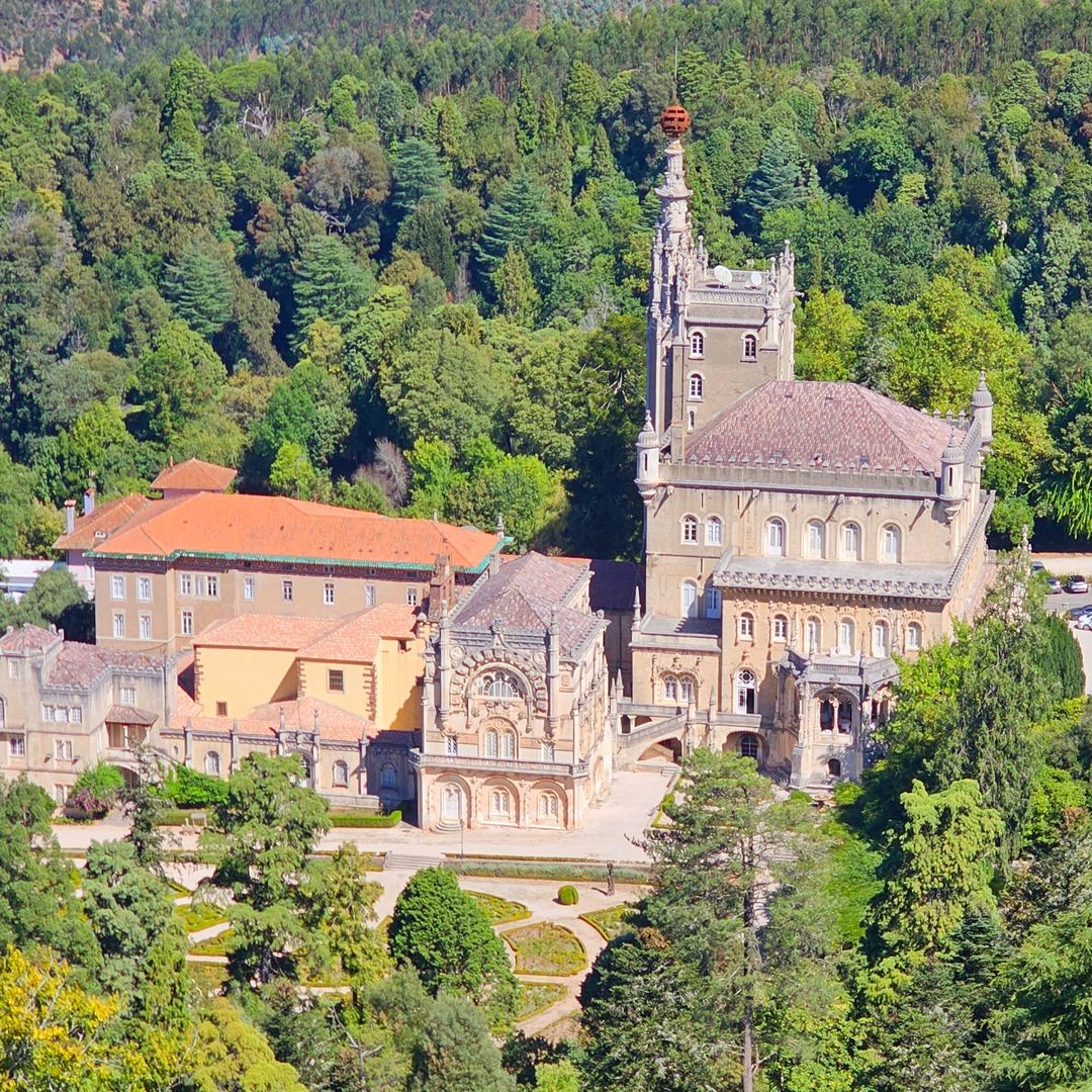El bosque de Portugal que esconde un palacio y acaba de convertirse en el primer bosque terapéutico de la península ibérica