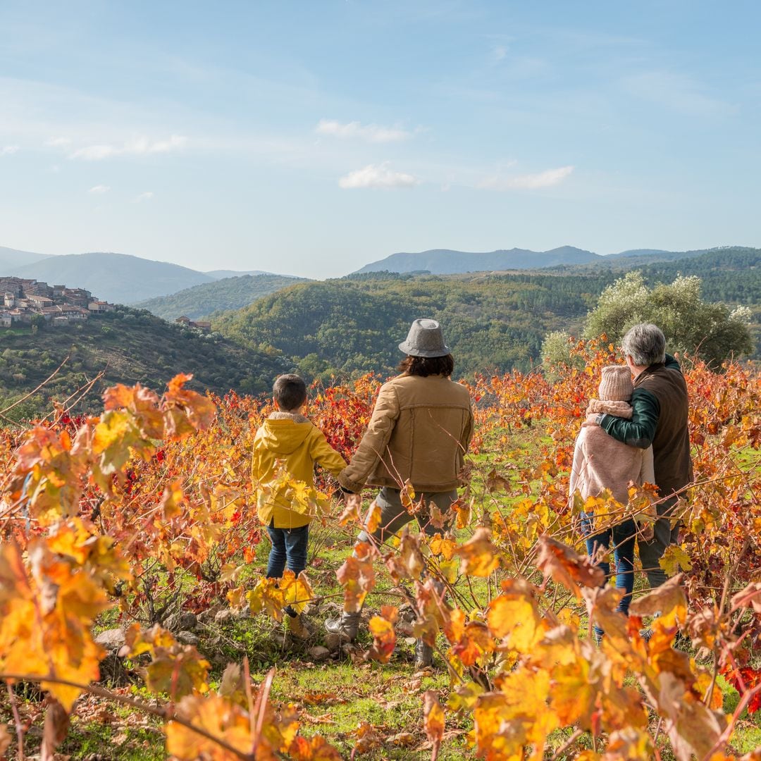 Castilla y León: la escapada de invierno más completa tiene mucho más de lo que te imaginas