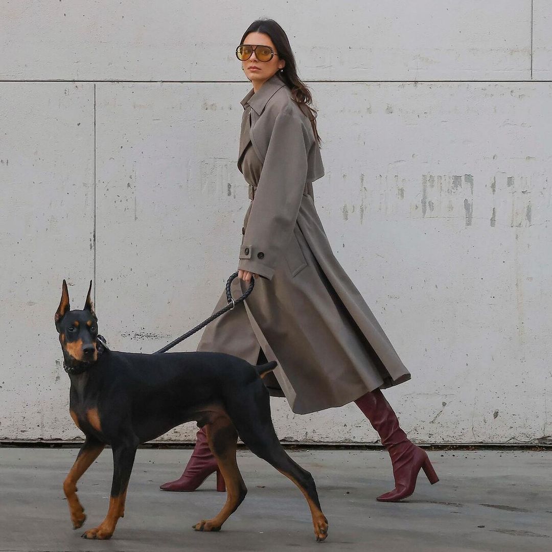 Descubrimos a la fiera de Kendall Jenner