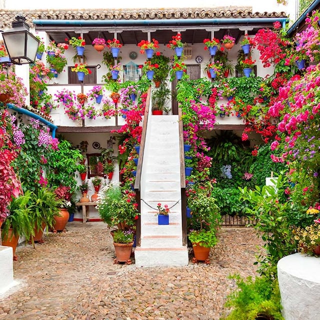 cordoba