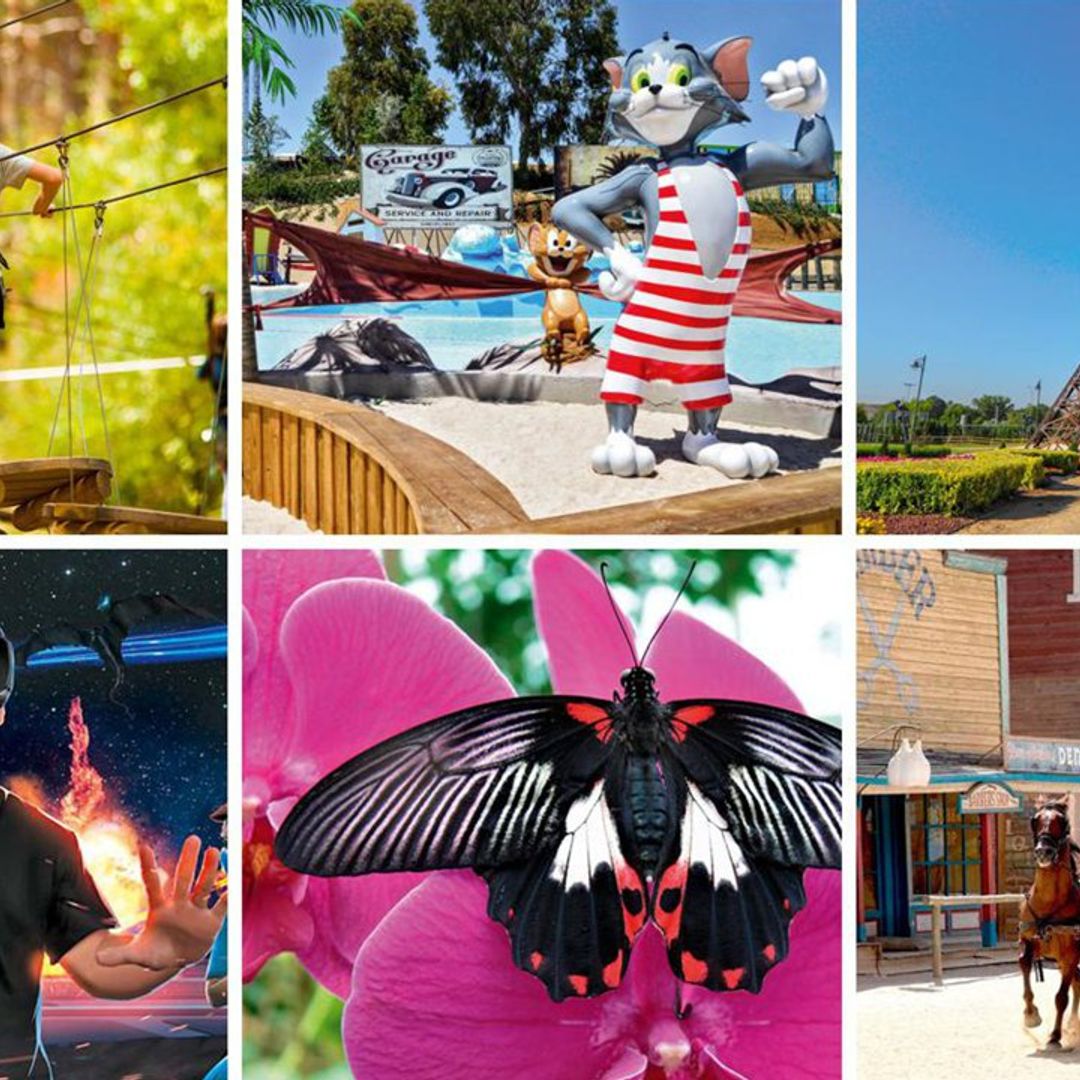 16 planes muy apetecibles para hacer con los más pequeños al aire libre