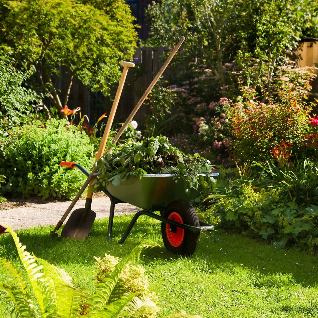 Abonos e insecticidas químicos o naturales: estos son los que conviene elegir para el jardín