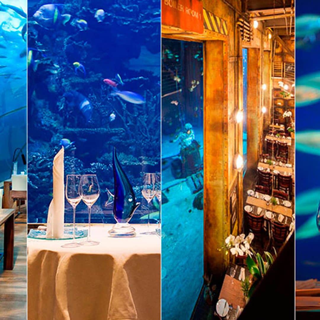 restaurantes submarinos