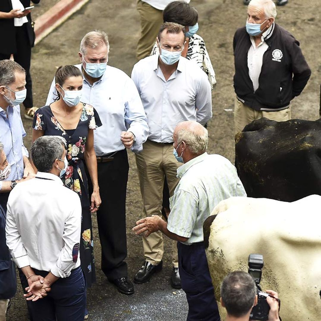 La curiosa jornada de los Reyes entre vacas, cencerros y anchoas