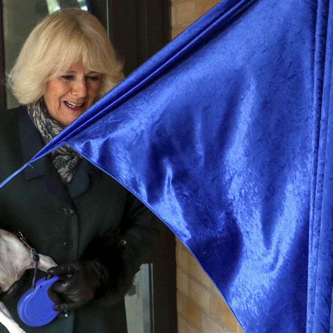 'Su Alteza Real' Beth, la mascota de la duquesa de Cornualles descubre una placa (y no es ficción)