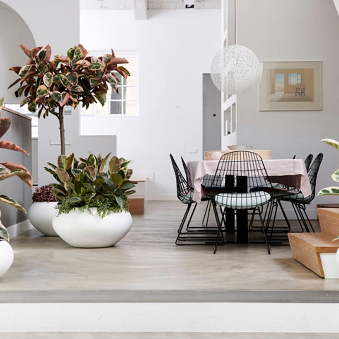 Estas son las plantas que aconseja el feng shui para llenar tu casa de buena energía
