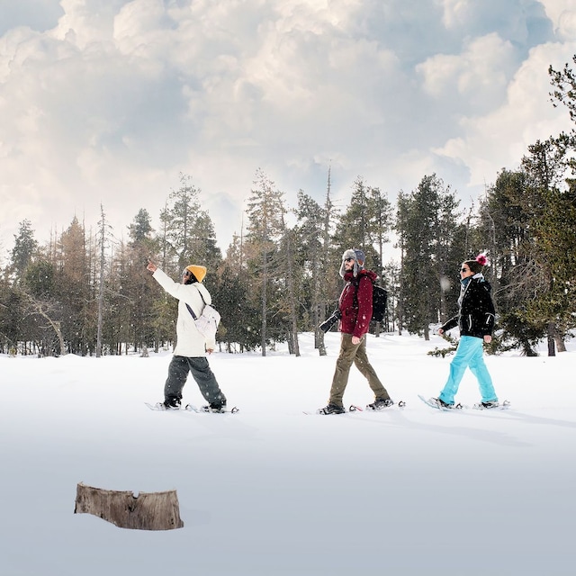 Raquetas de nieve, sierra de Urbión