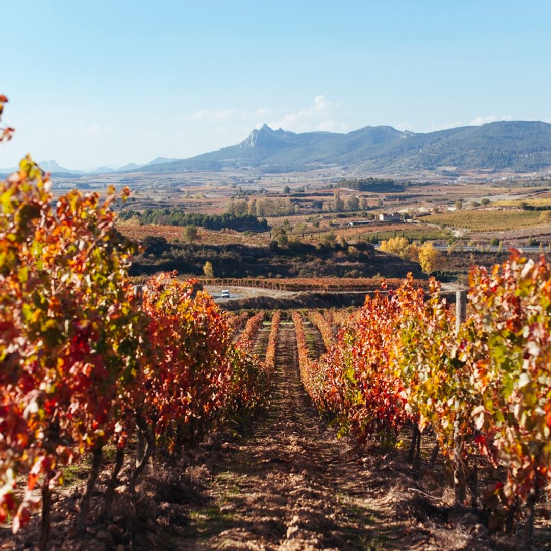 Bodegas Bilbainas, en Haro