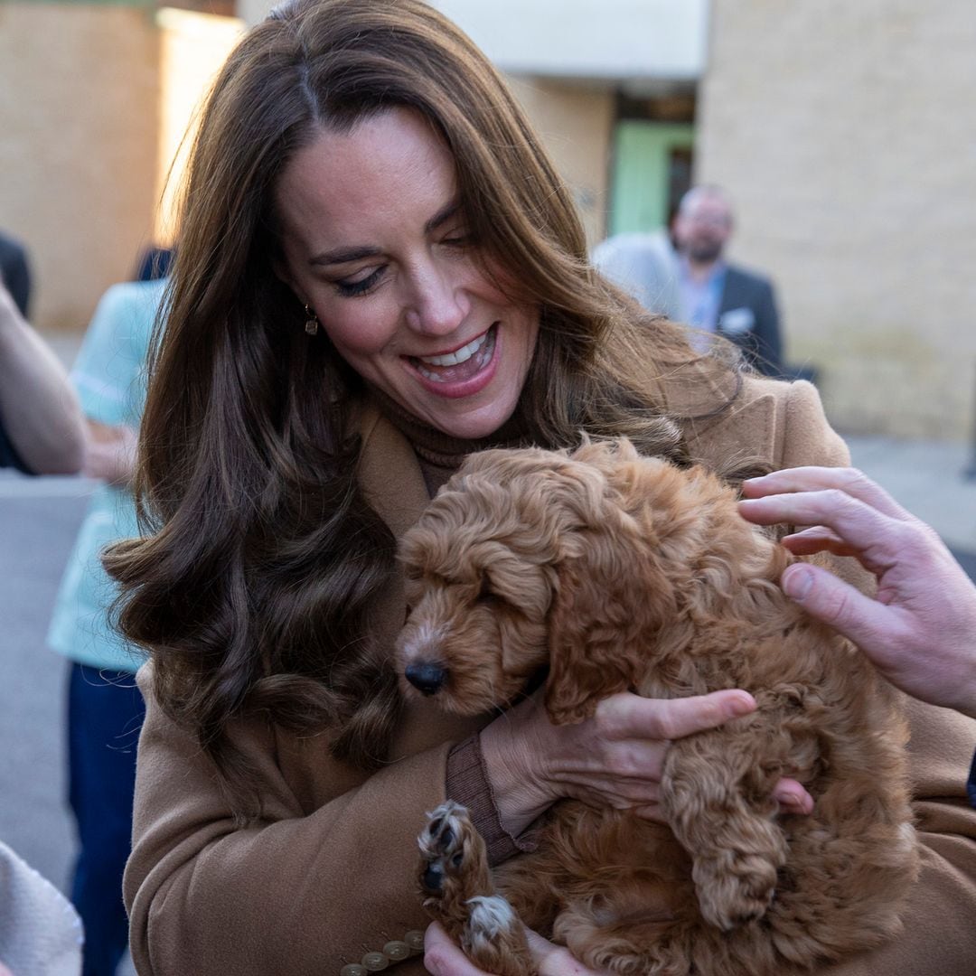 Del perro de Leonor y Sofía al 'cocker spaniel' de Kate Middleton: las mascotas más reales