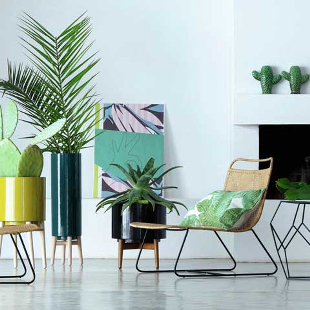 Plantas: el toque más fresco e inspirador de la decoración