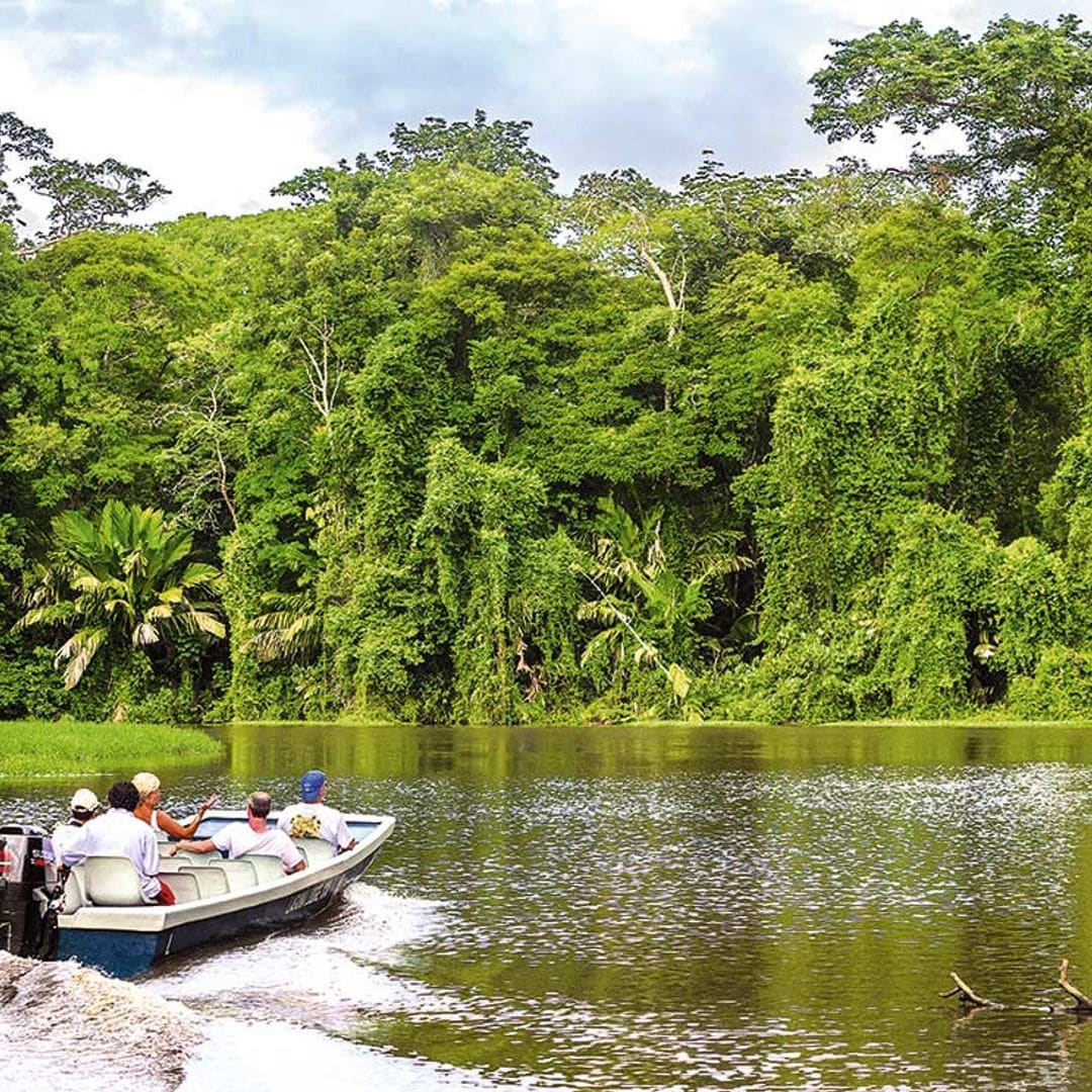 Pistas para visitar el Parque Nacional de Tortuguero en Costa Rica