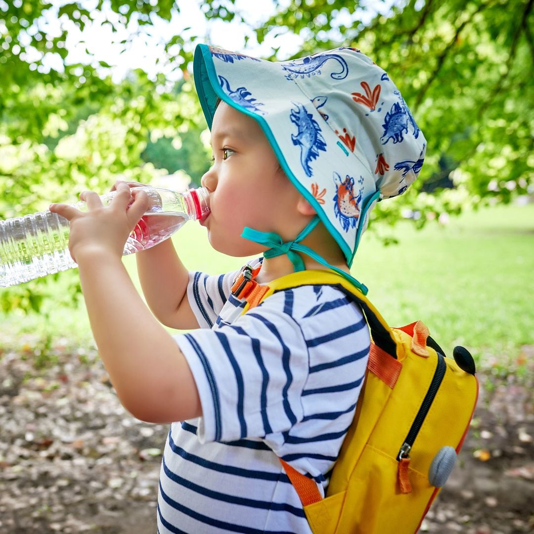 Dr. Nicolás Olea, alerta sobre los disruptores endocrinos: "Está totalmente desaconsejado que los niños beban agua en botellas de plástico"