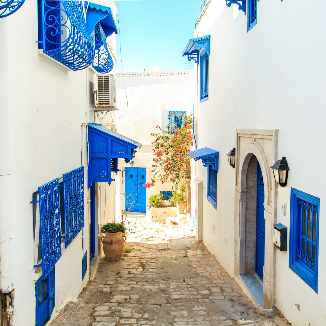 Calles de Sidi Bou Said, Túnez
