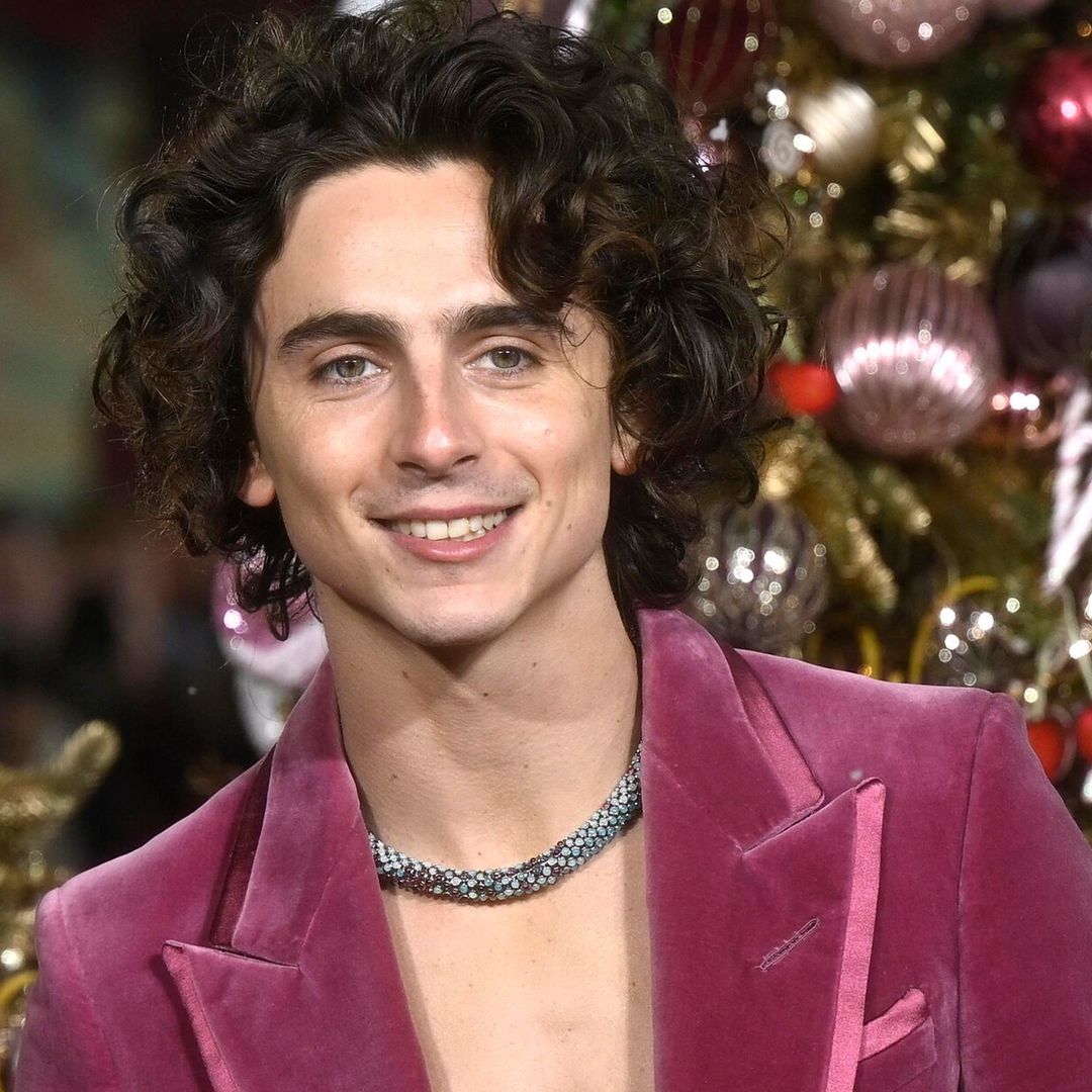 Timothée Chalamet deslumbra en premier de Wonka por su joyería