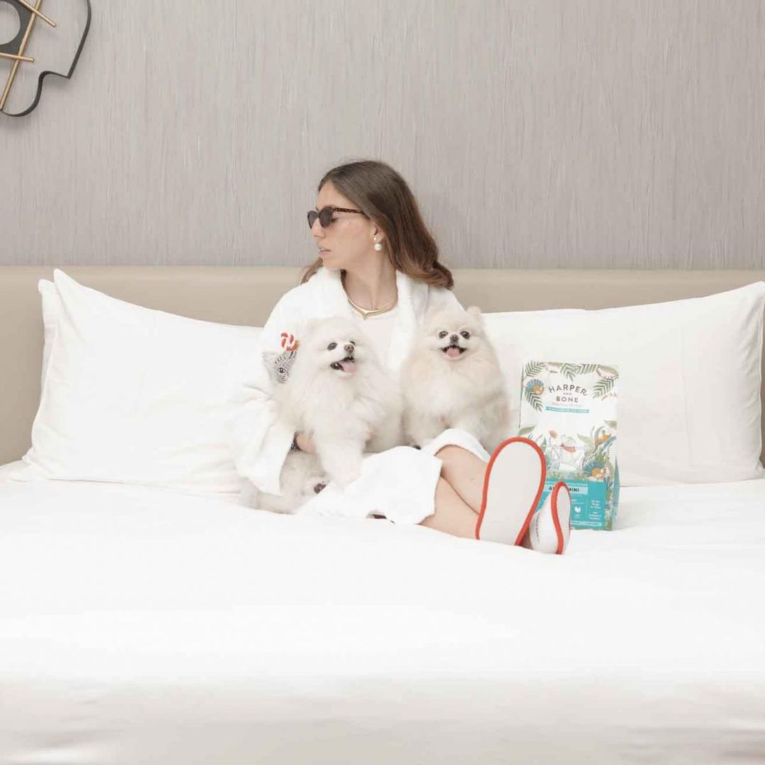 Si amas a tu perro (o a tu gato) sobre todas las cosas tienes que alimentarlo bien