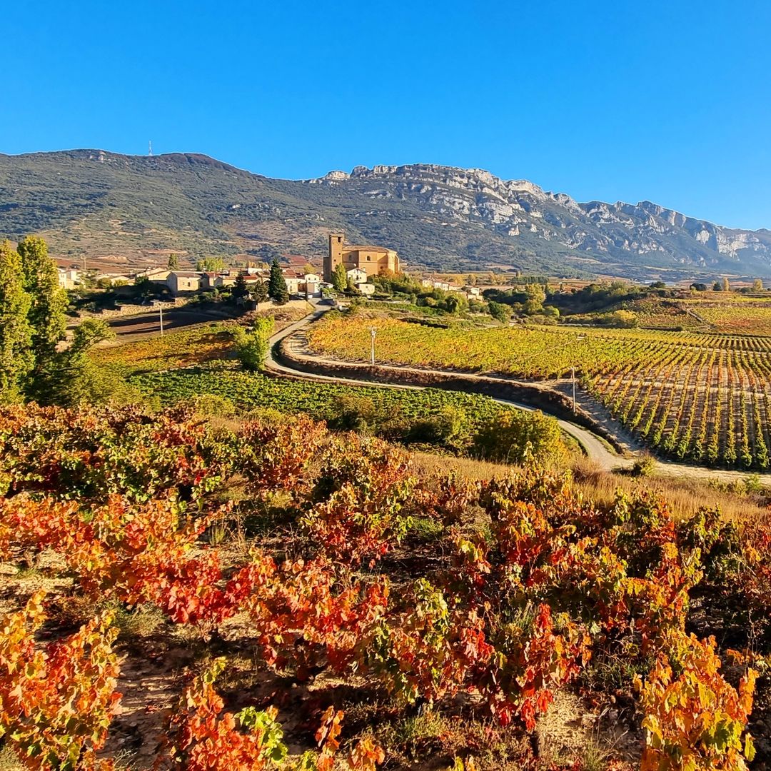 Otoño en la Rioja Alavesa