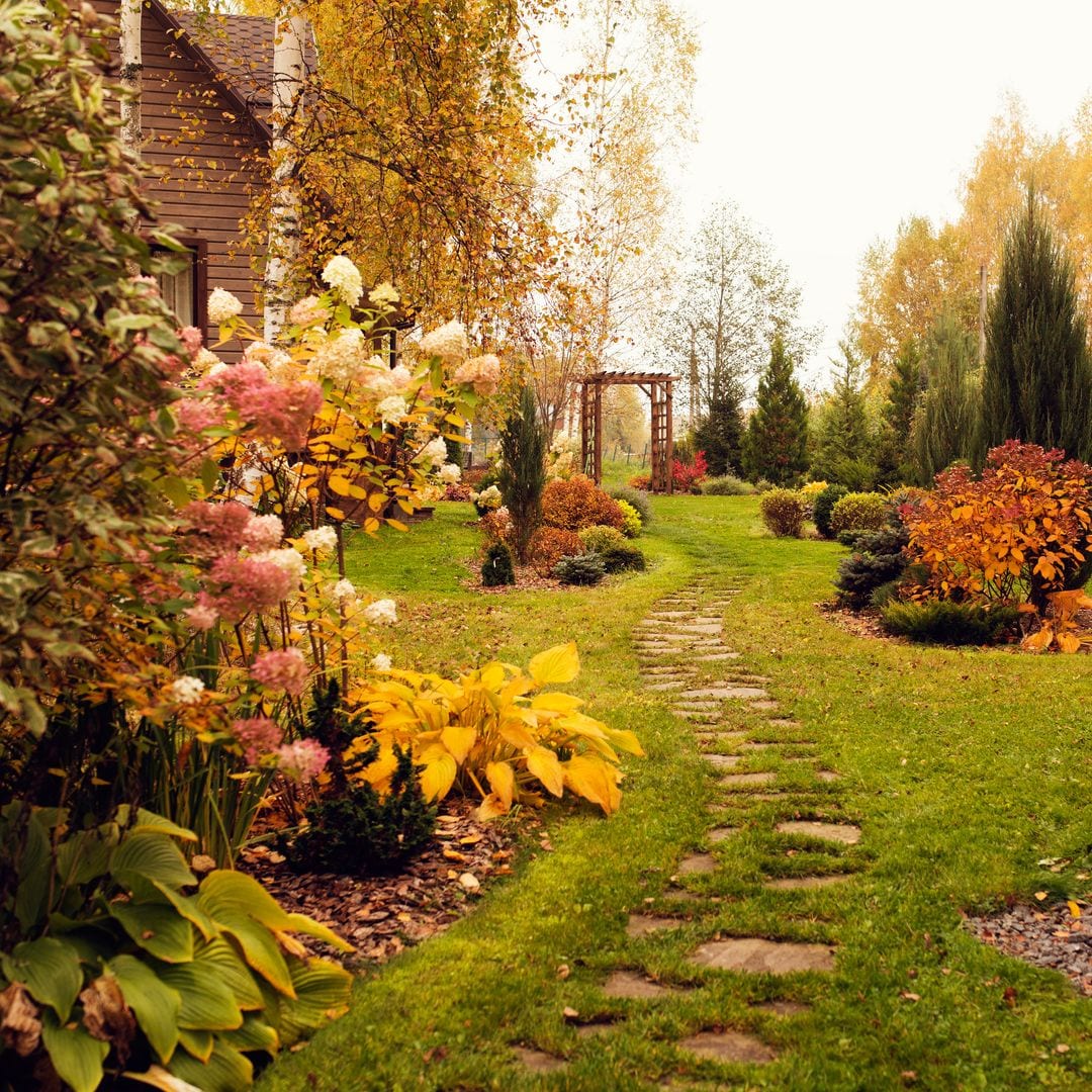 Jardín en otoño