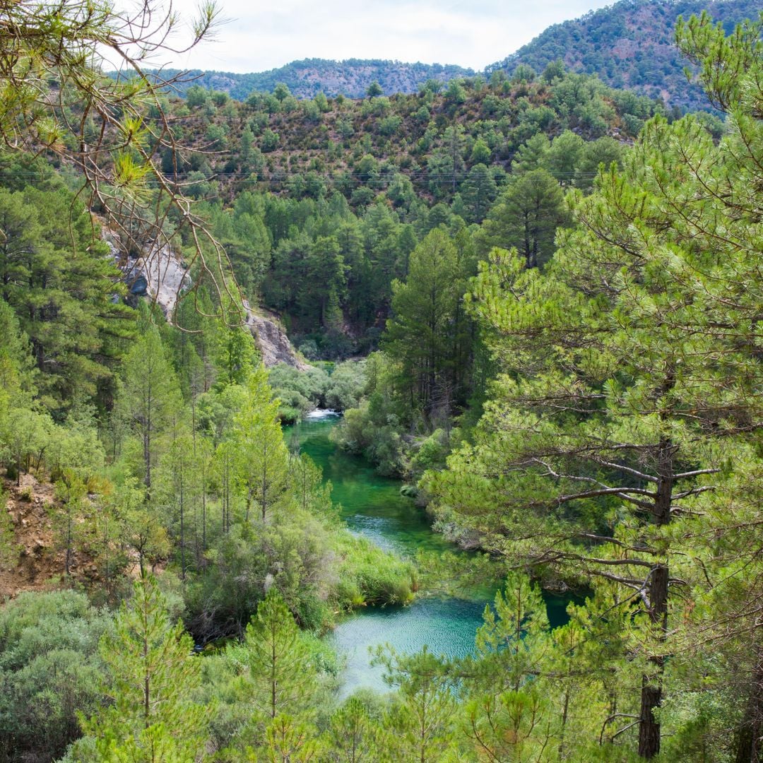 Parque Natural del Alto Tajo, Zaorejas, Guadalajara