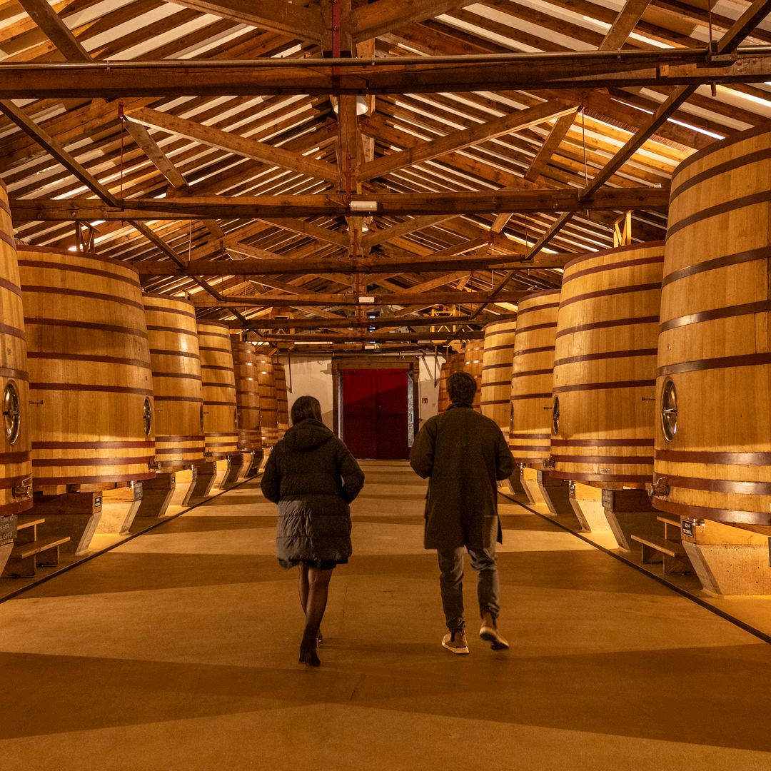 Visita a CVNE (Compañía Vinícola del Norte de España)